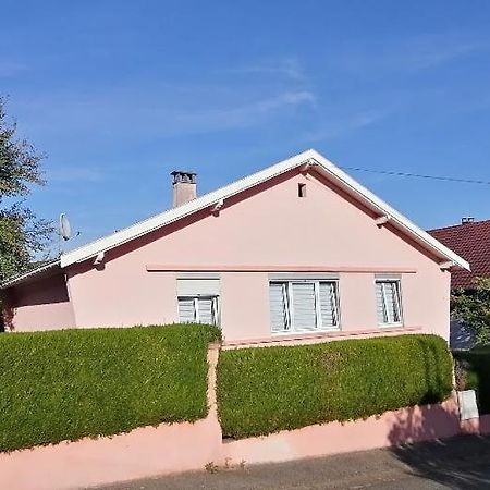 Superbe Maison 3 Chambres 1 Etage Et Sous-Sol, Avec Jardin Et Terrasse Altkirch Eksteriør bilde