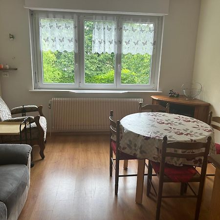 Superbe Maison 3 Chambres 1 Etage Et Sous-Sol, Avec Jardin Et Terrasse Altkirch Eksteriør bilde