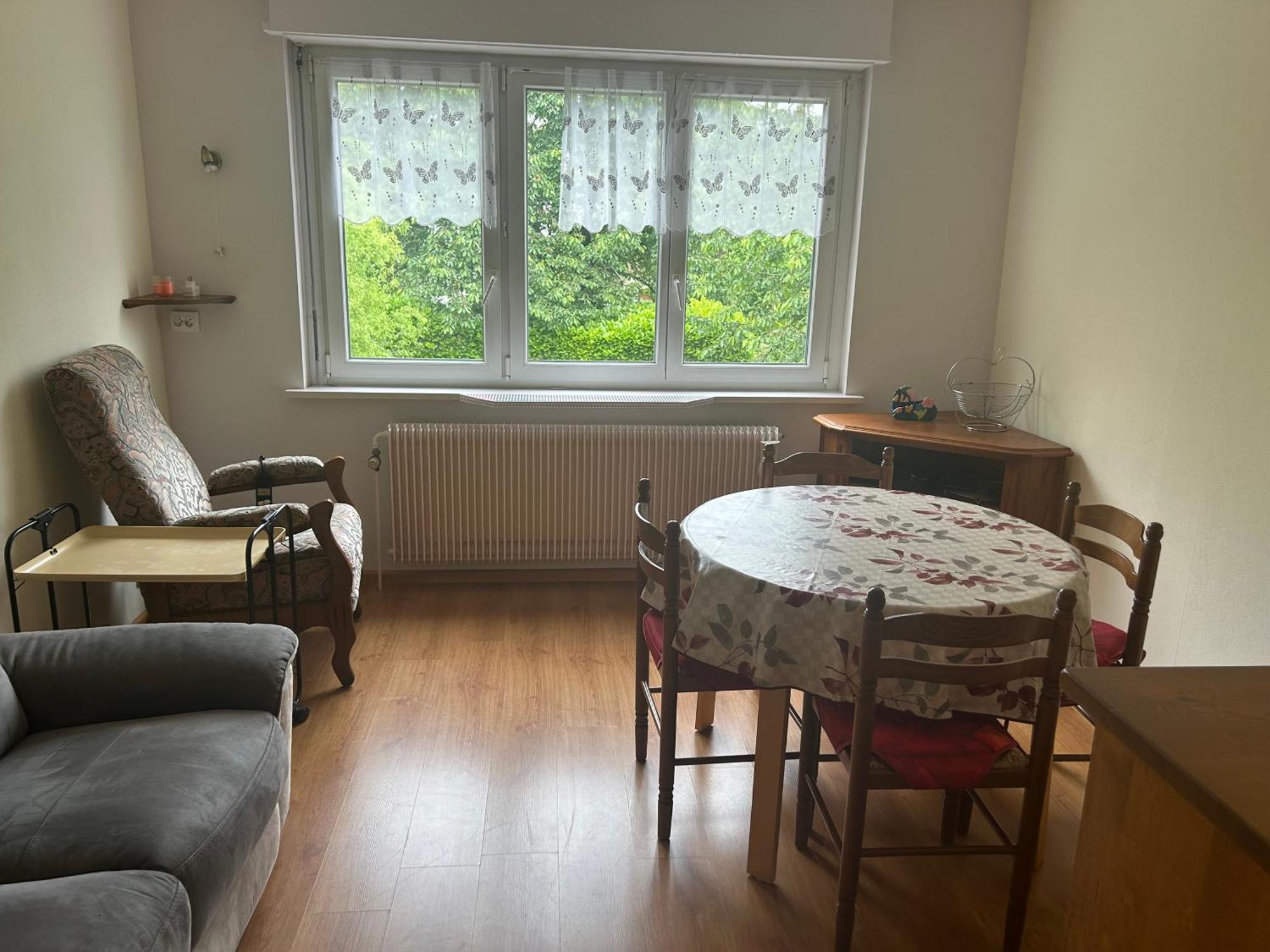Superbe Maison 3 Chambres 1 Etage Et Sous-Sol, Avec Jardin Et Terrasse Altkirch Eksteriør bilde